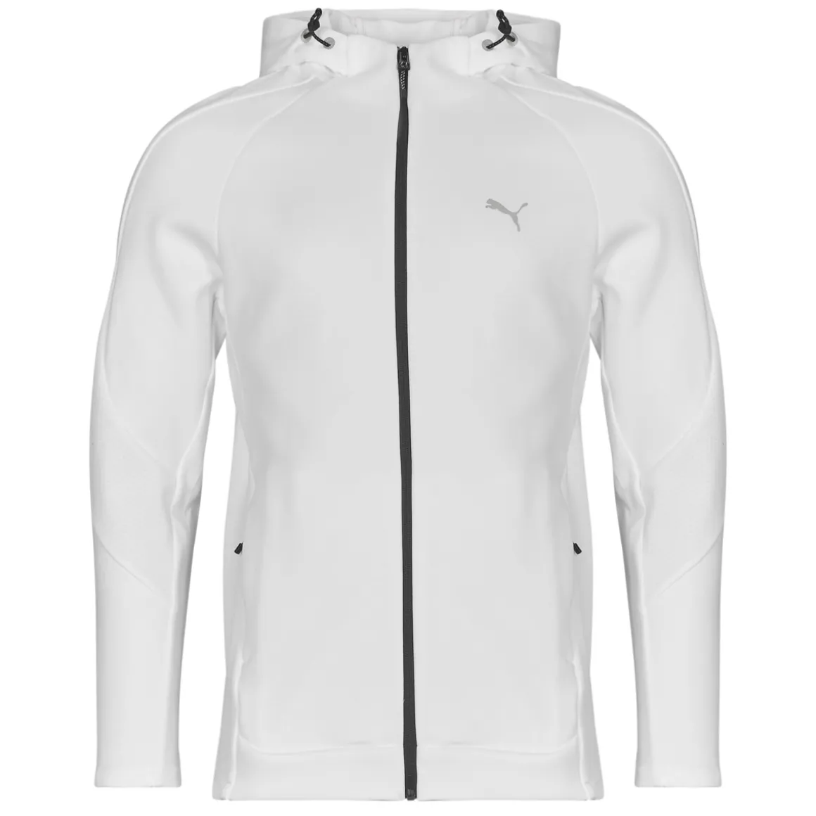 Puma - EVOSTRIPE FULL ZIP HOODIE