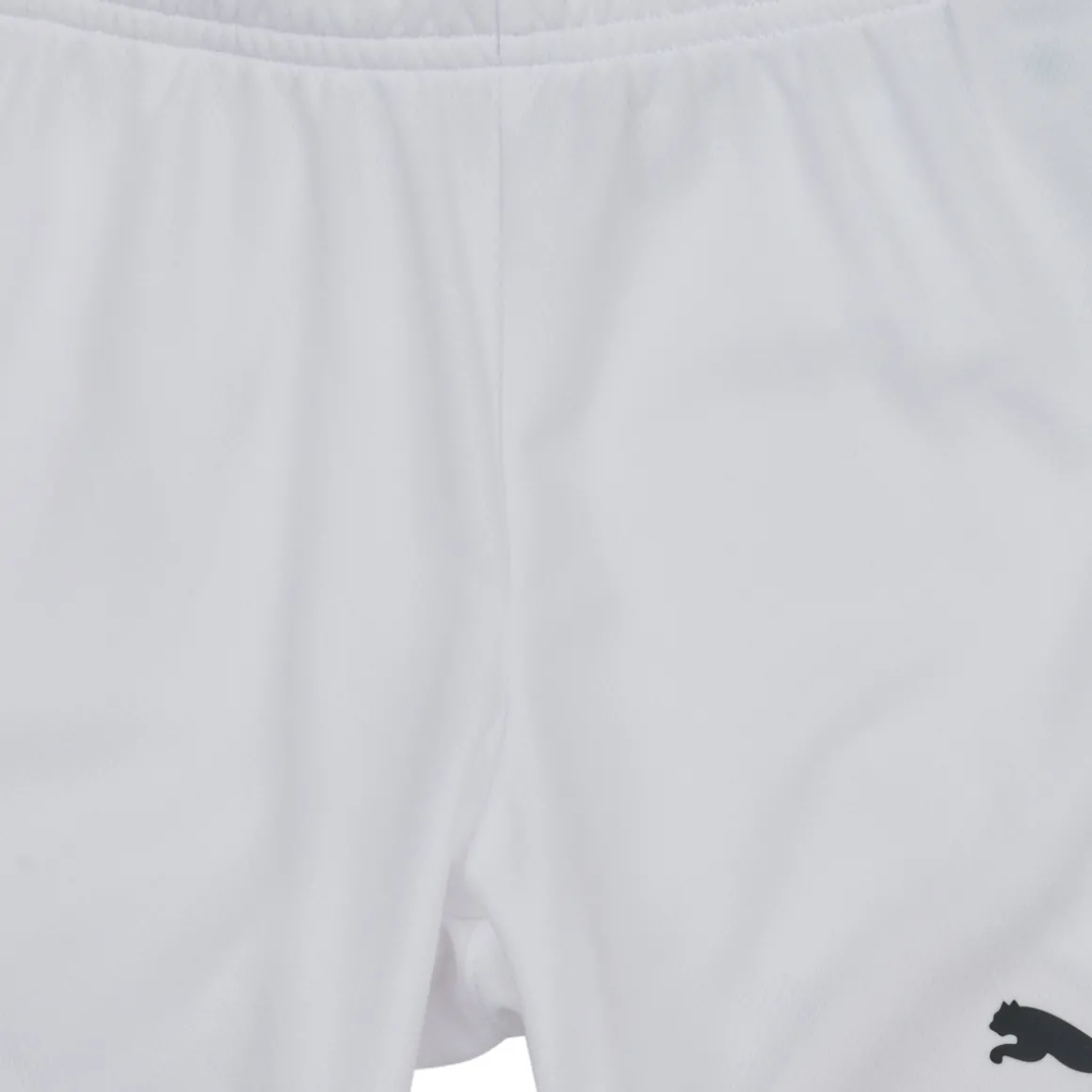 Puma - TEAMRISE SHORT