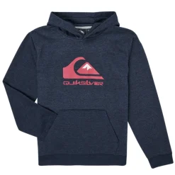 Quiksilver - BIG LOGO YOUTH