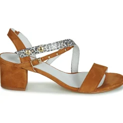 Regard - REFTA V1 ANTE CAMEL