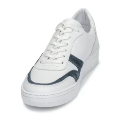 Schmoove - EVOC-SNEAKER