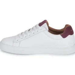 Schmoove - SPARK CLAY