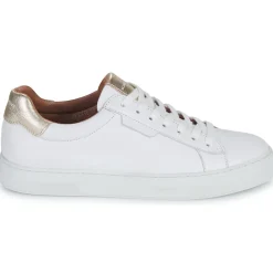 Schmoove - SPARK CLAY