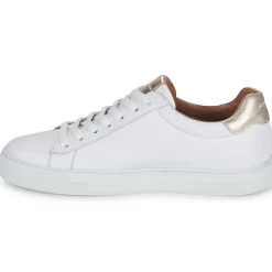 Schmoove - SPARK CLAY