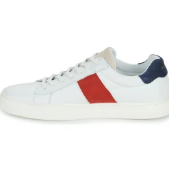 Schmoove - SPARK GANG M