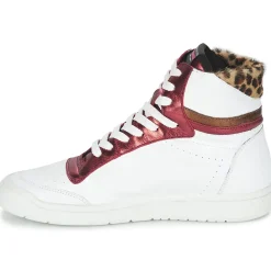 Serafini - SAN DIEGO