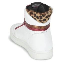 Serafini - SAN DIEGO