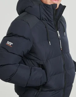 Superdry - BOMBER SPORTS