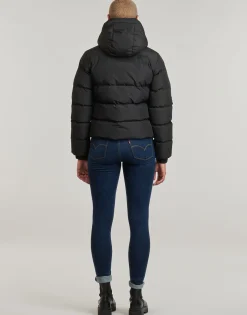 Superdry - HOODED SPORT