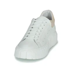 Sweet Lemon - PLANTO