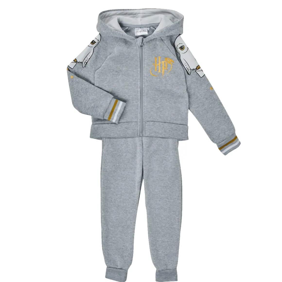 TEAM HEROES  - ENSEMBLE HARRY POTTER