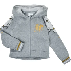 TEAM HEROES  - ENSEMBLE HARRY POTTER