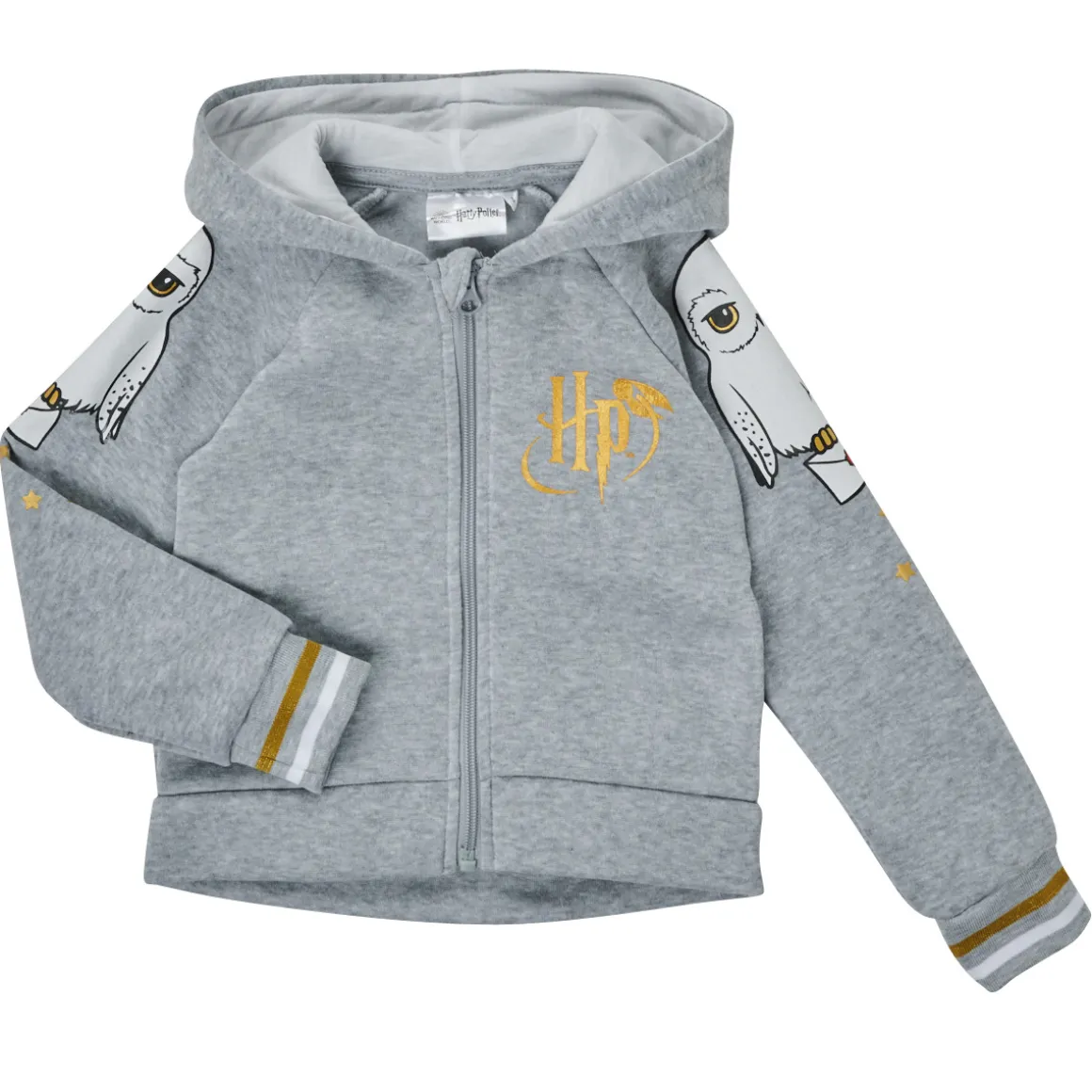 TEAM HEROES  - ENSEMBLE HARRY POTTER