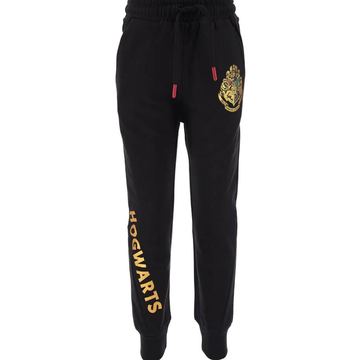 TEAM HEROES  - JOGGING HARRY POTTER