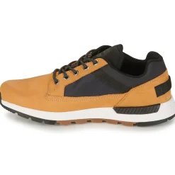 Timberland - KILLINGTON TREKKER F/L LOW