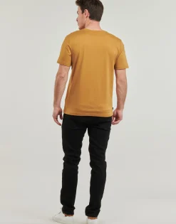 Timberland - Linear Logo Short Sleeve Tee