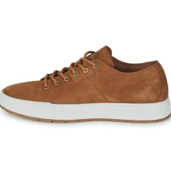 Timberland - MAPLE GROVE