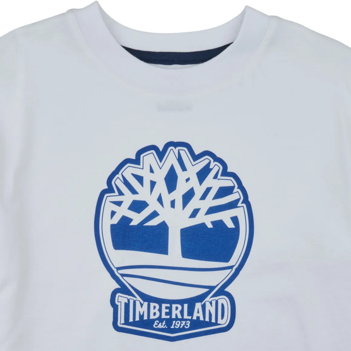 Timberland - T60422