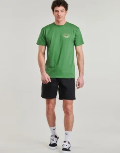 Vans - Major Type SS