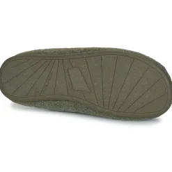 Verbenas - EARTH SAVENA