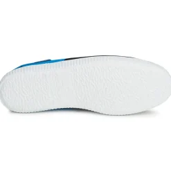 Victoria - INGLESA BICOLOR