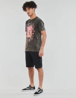 Volcom - EGLE ZVIRBLYTE 2 FA SS