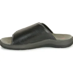 Westland - ALSACE 03