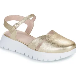 Wonders - A-2461-MAX-PLATINO