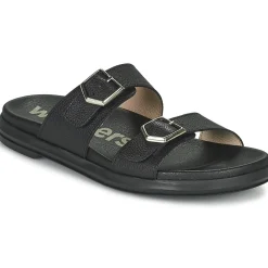 Wonders - B-7421-WILD