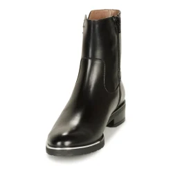 Wonders - C5437-OREGON-NEGRO