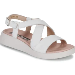 Wonders - C-6505-WILD