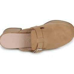 Wonders - D-9503-TREND