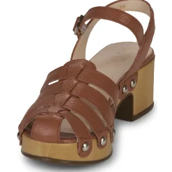 Wonders - D-9501-WILD