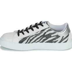 Yurban - ANISTAR